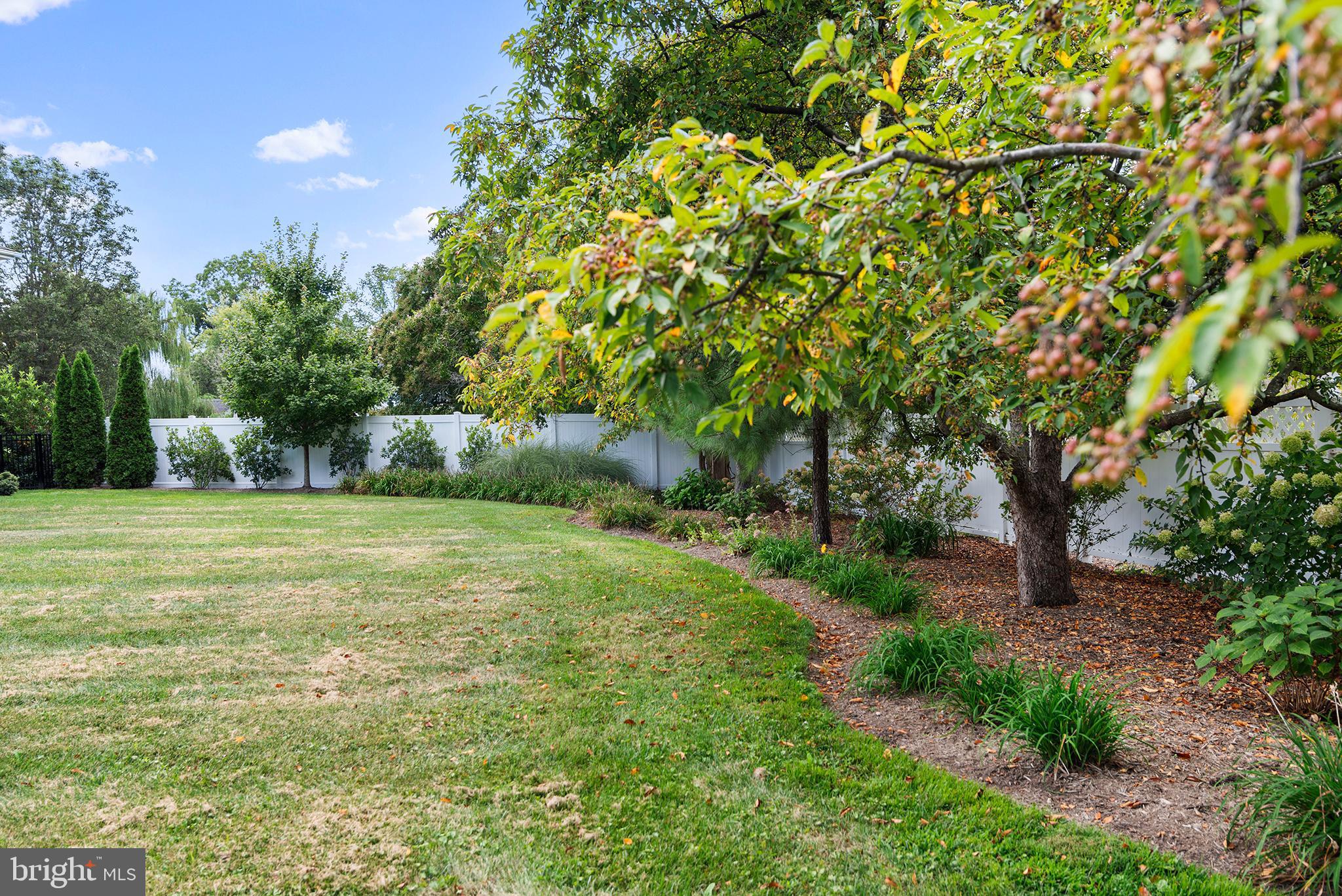 7989 Quaker Neck Road Chestertown, MD 21620 - Photo 82 of 90 a view of a field with a tree