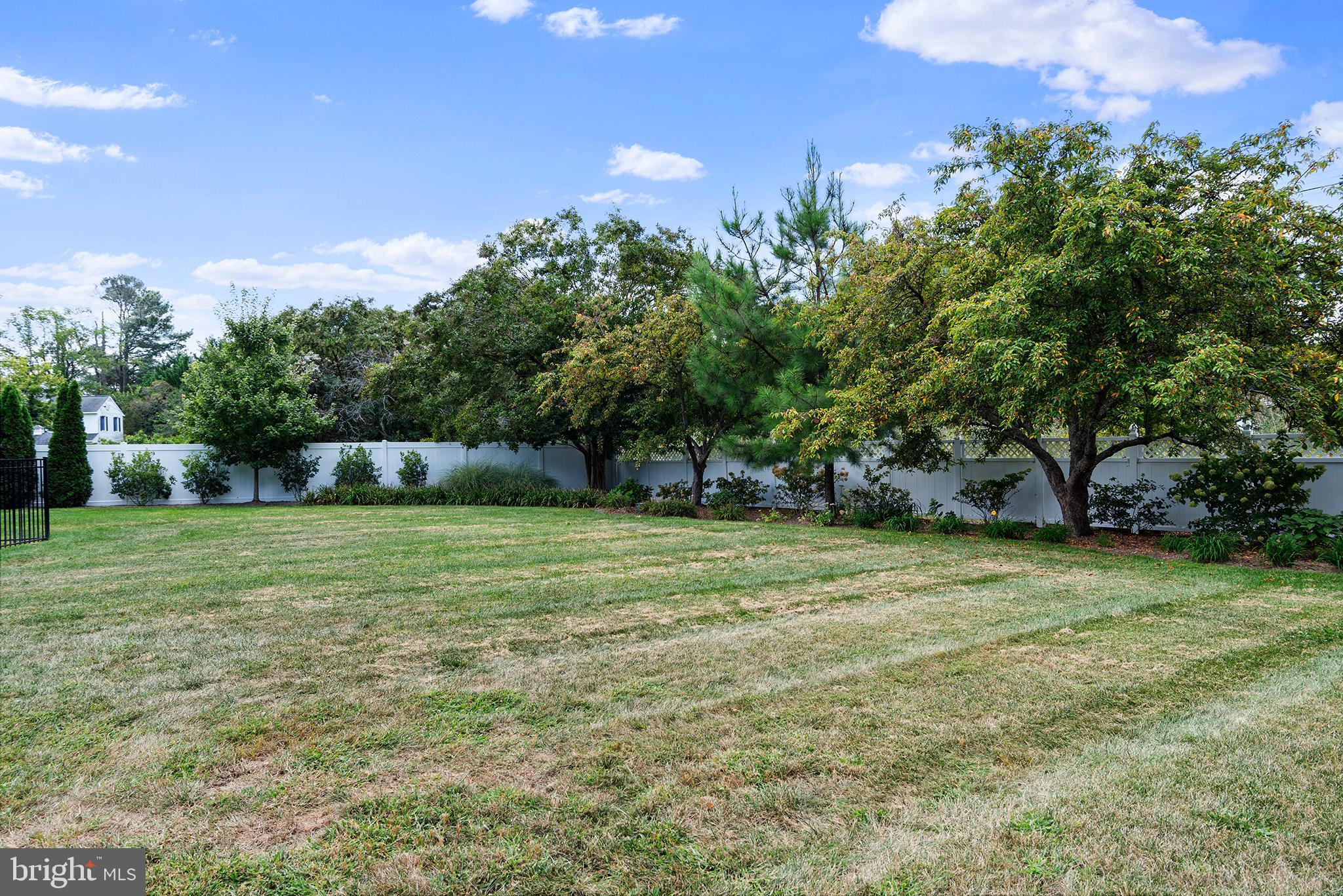 7989 Quaker Neck Road Chestertown, MD 21620 - Photo 83 of 90 a view of a trees in a yard