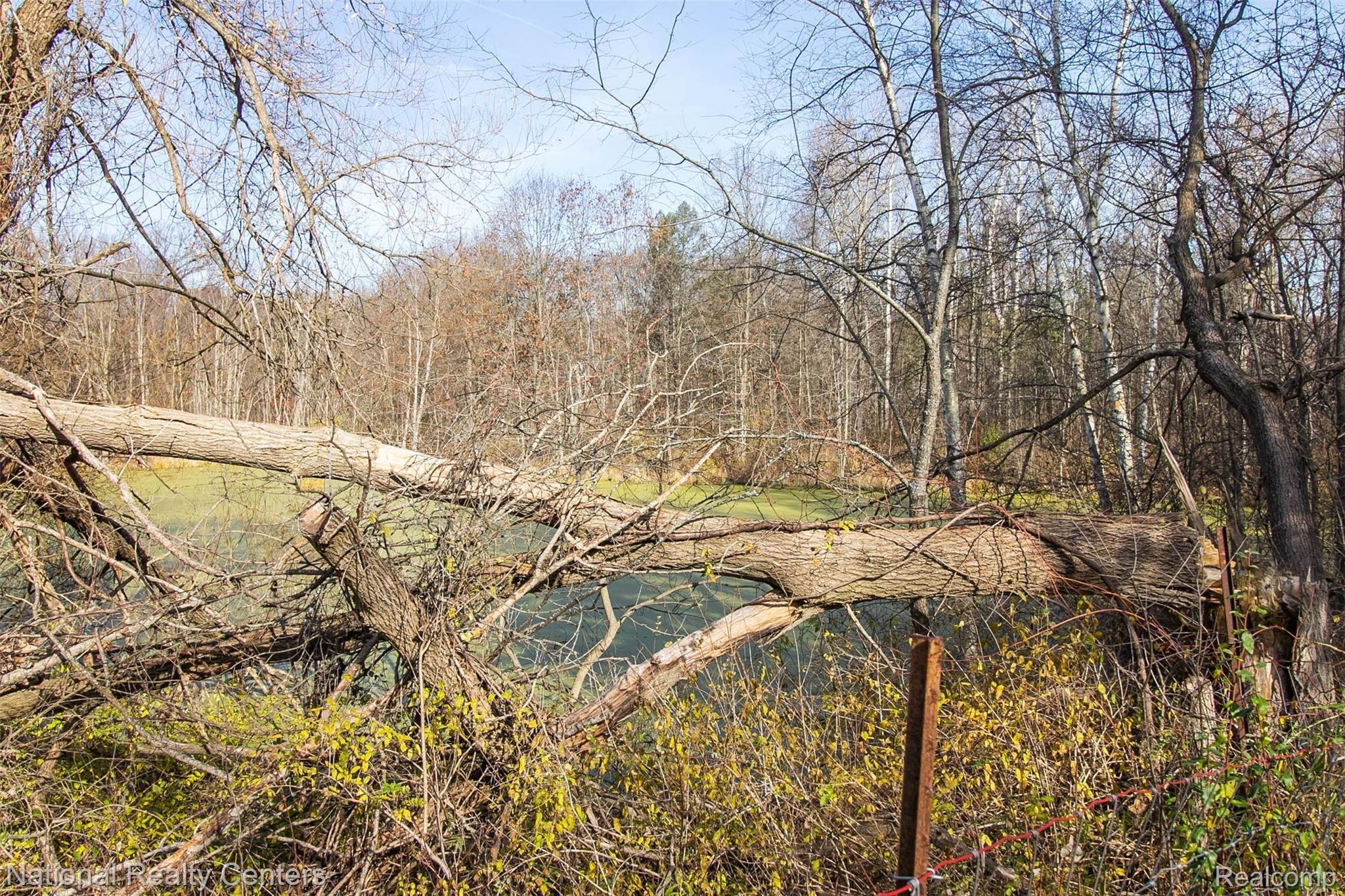3225 Levalley Road Columbiaville, MI 48421 - Photo 41 of 41 56.jpg