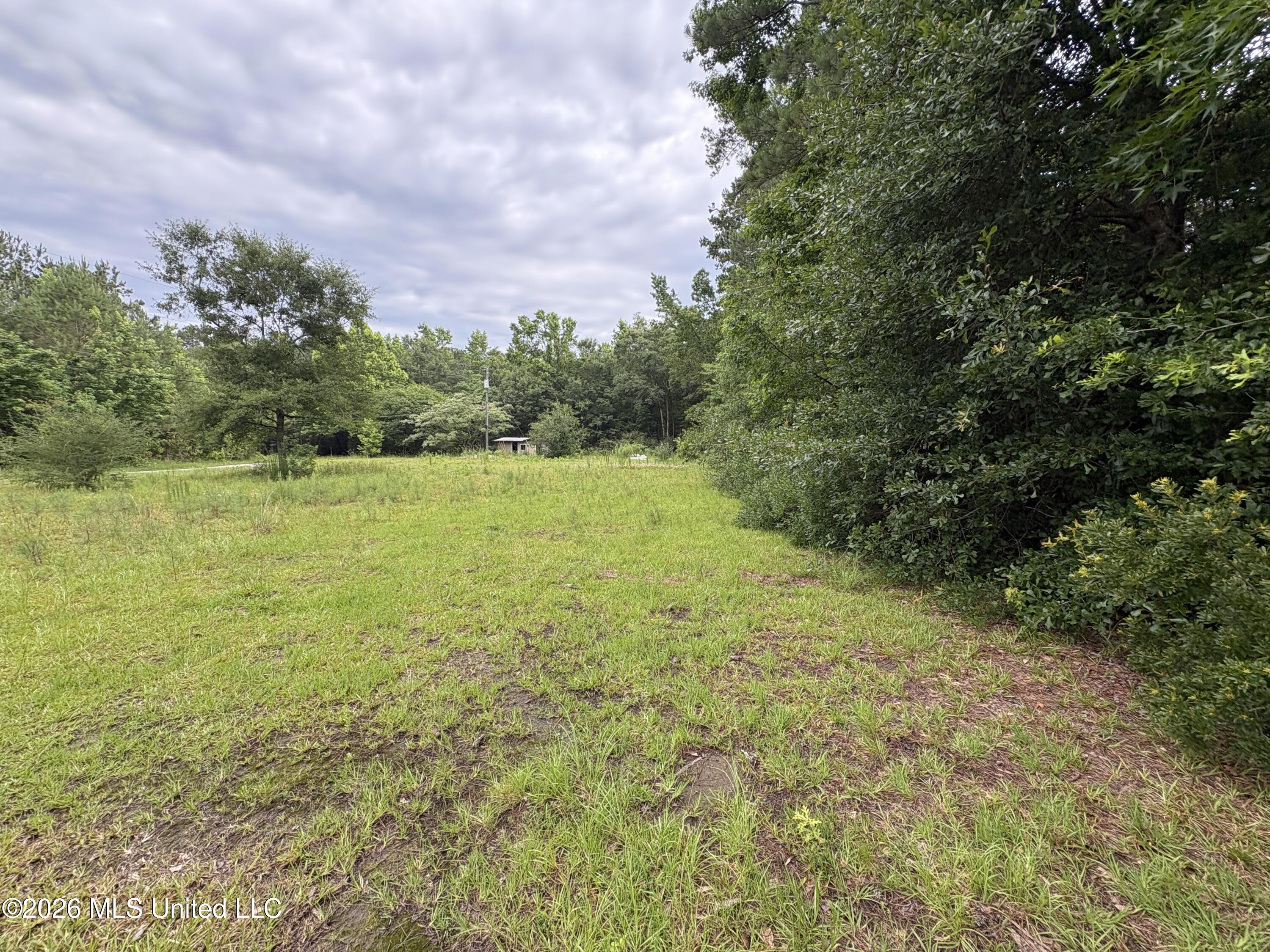 2517 Will Kibby Road Moss Point, MS 39562 - Photo 2 of 15 IMG_4464