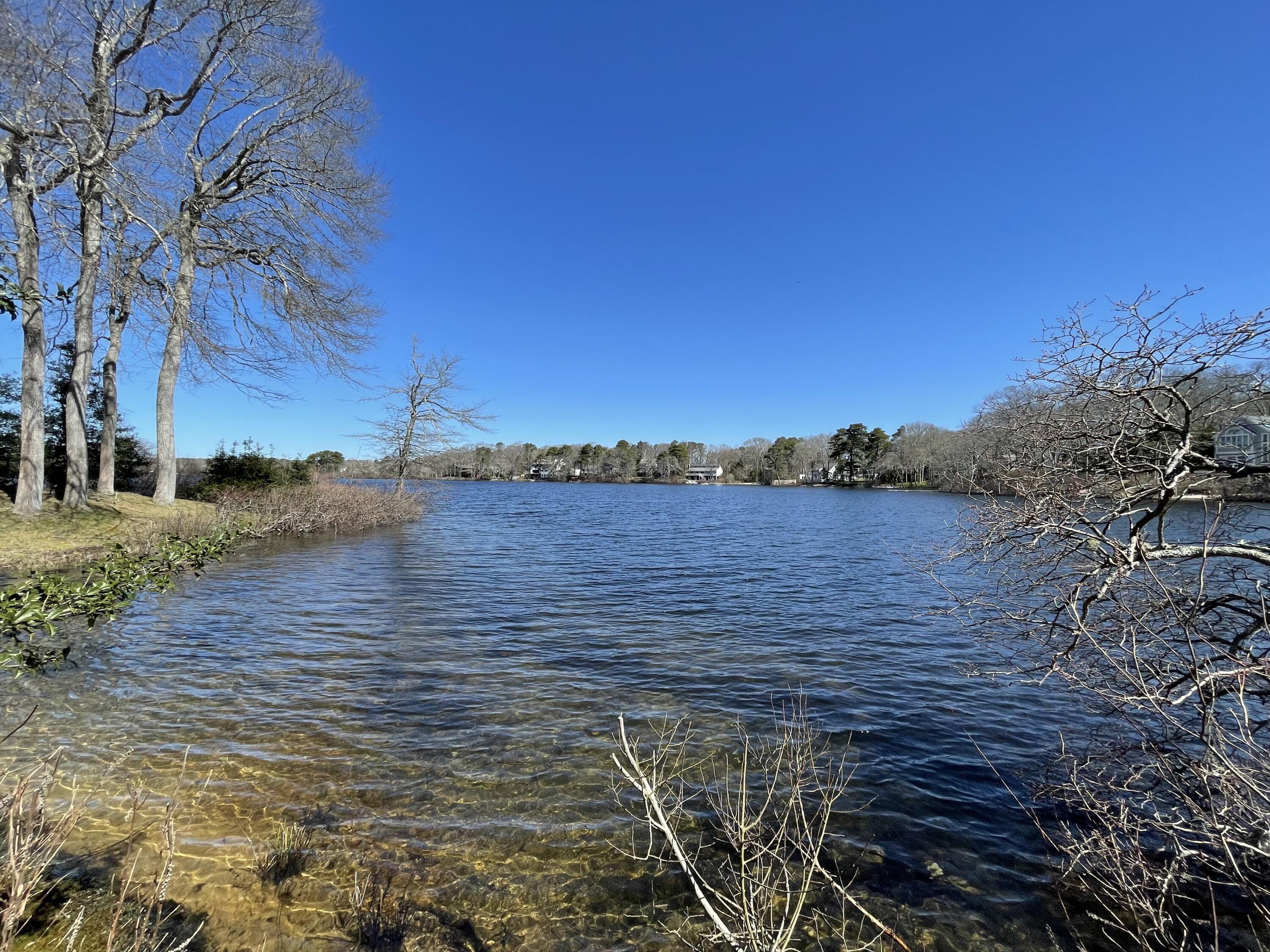 226 Holly Point Road Centerville, MA 02632 - Photo 3 of 11 from Back yard