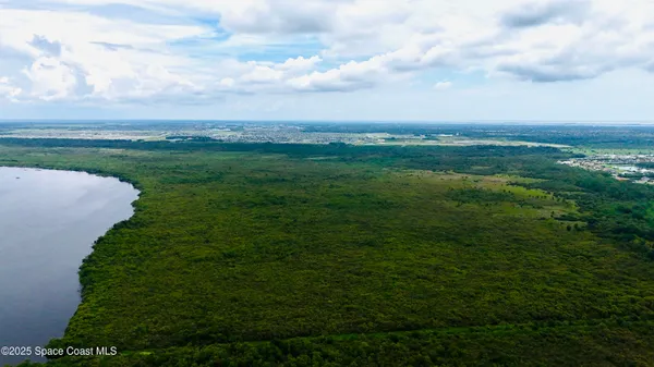 a view of a big yard with large trees