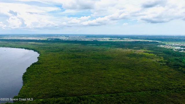 a view of a big yard with large trees