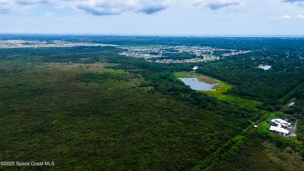 a view of a city with lush green forest