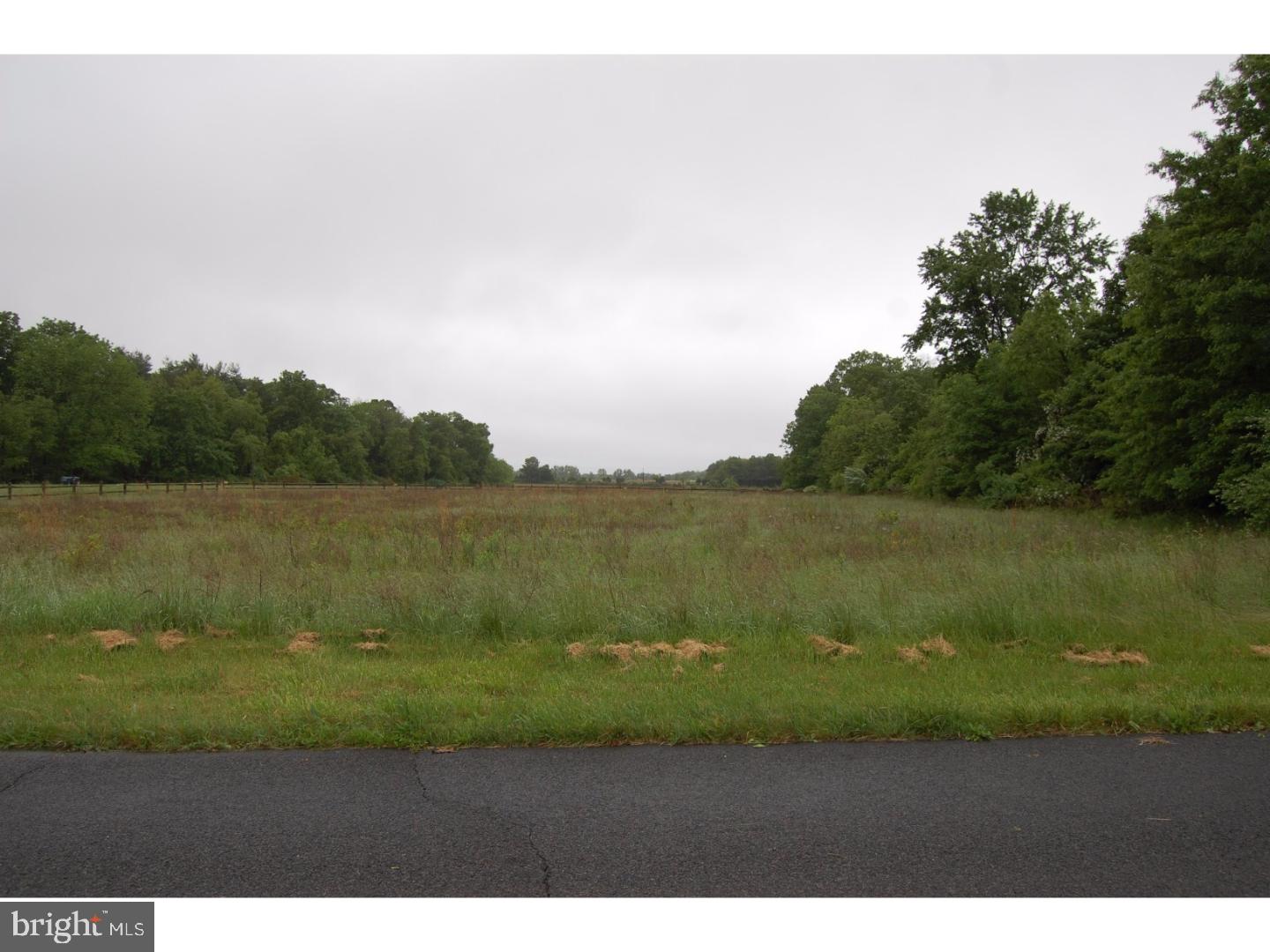 4496 Smith Road, Unit LOT 3 Buckingham, PA 18925 - Photo 4 of 12