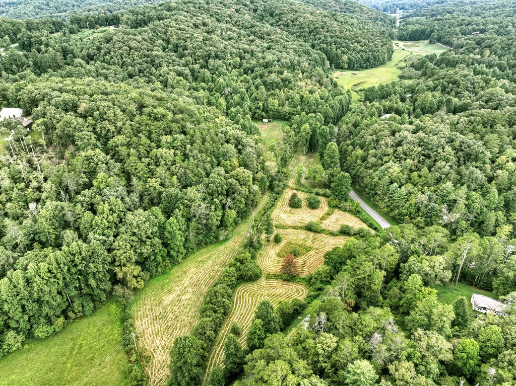 34.51-ac Weaver Creek Road Blue Ridge, GA 30513 - Photo 18 of 26 Gallery Image 18