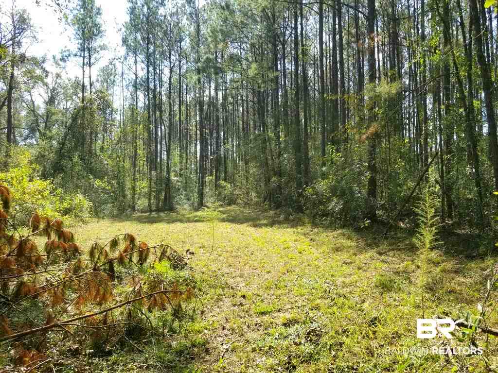 10685 John Little Road Bay Minette, AL 36507 - Photo 1 of 16