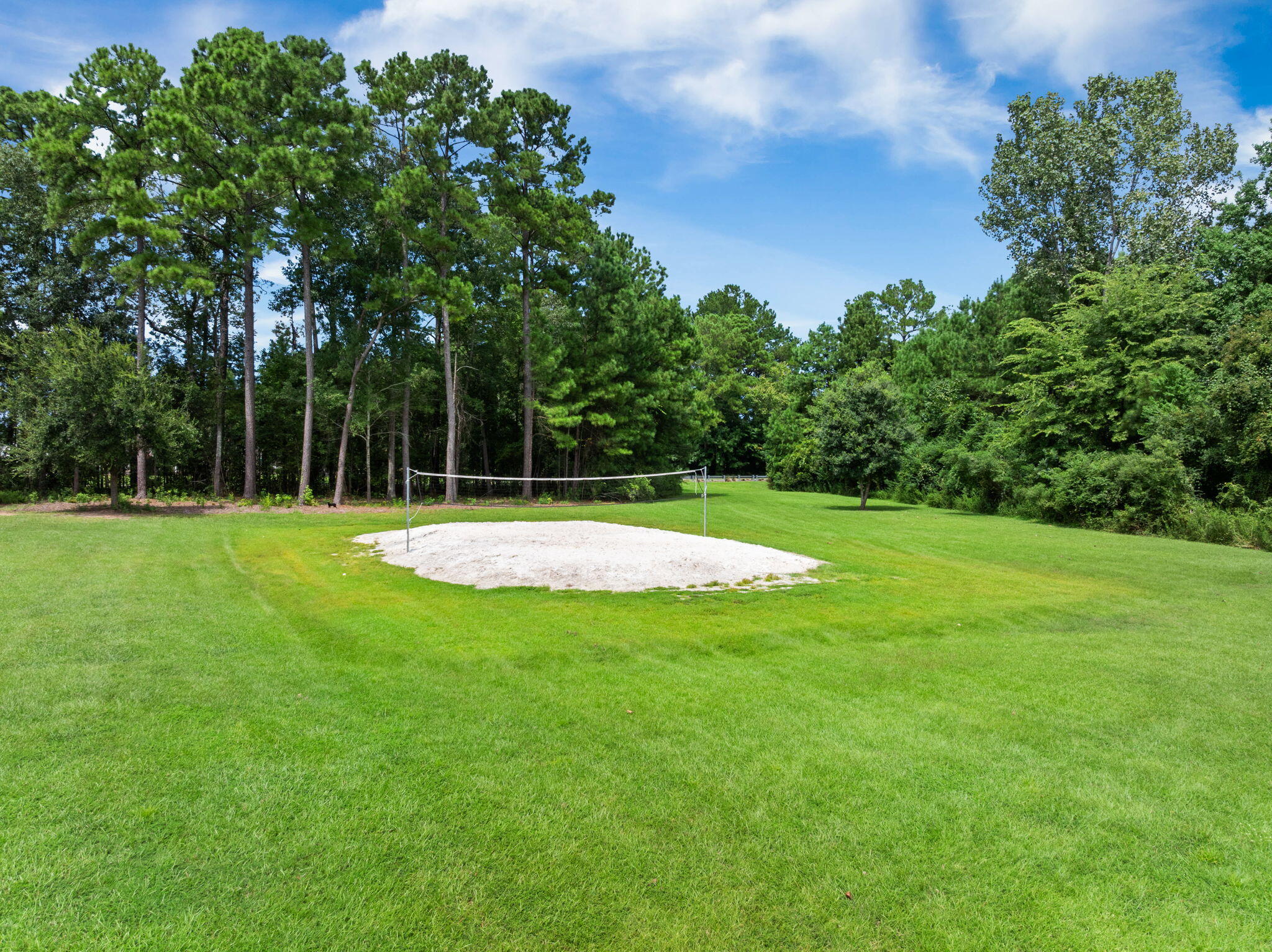 263 Brookshire Road Goose Creek, SC 29445 - Photo 44 of 49 volleyball