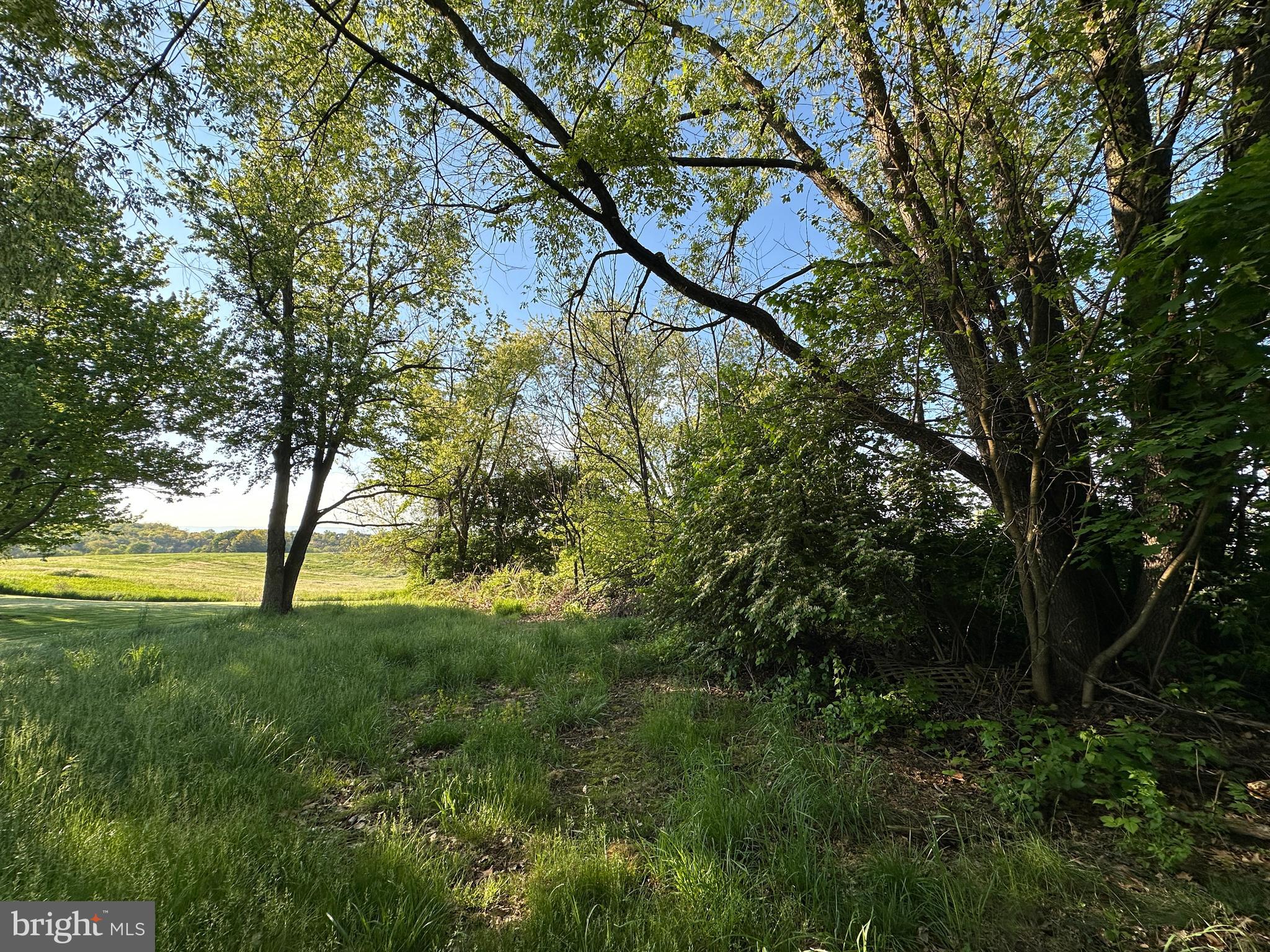 1290 Brechbill Road Chambersburg, PA 17202 - Photo 12 of 17 a view of yard with green space
