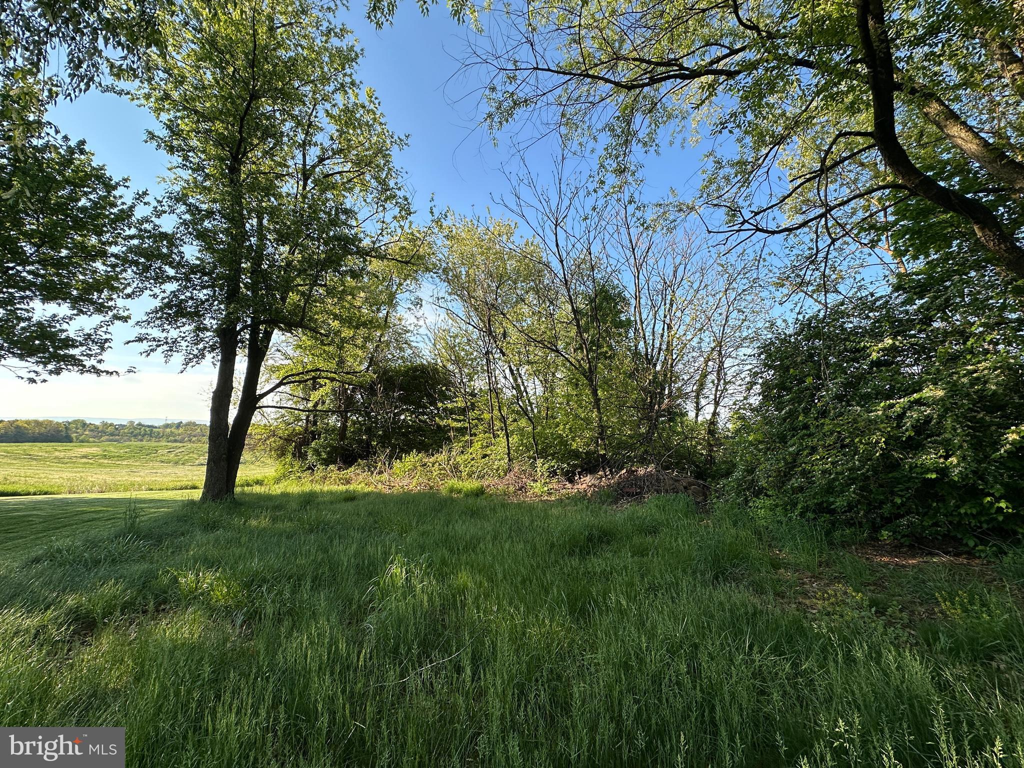 1290 Brechbill Road Chambersburg, PA 17202 - Photo 14 of 17 a view of a trees in a yard