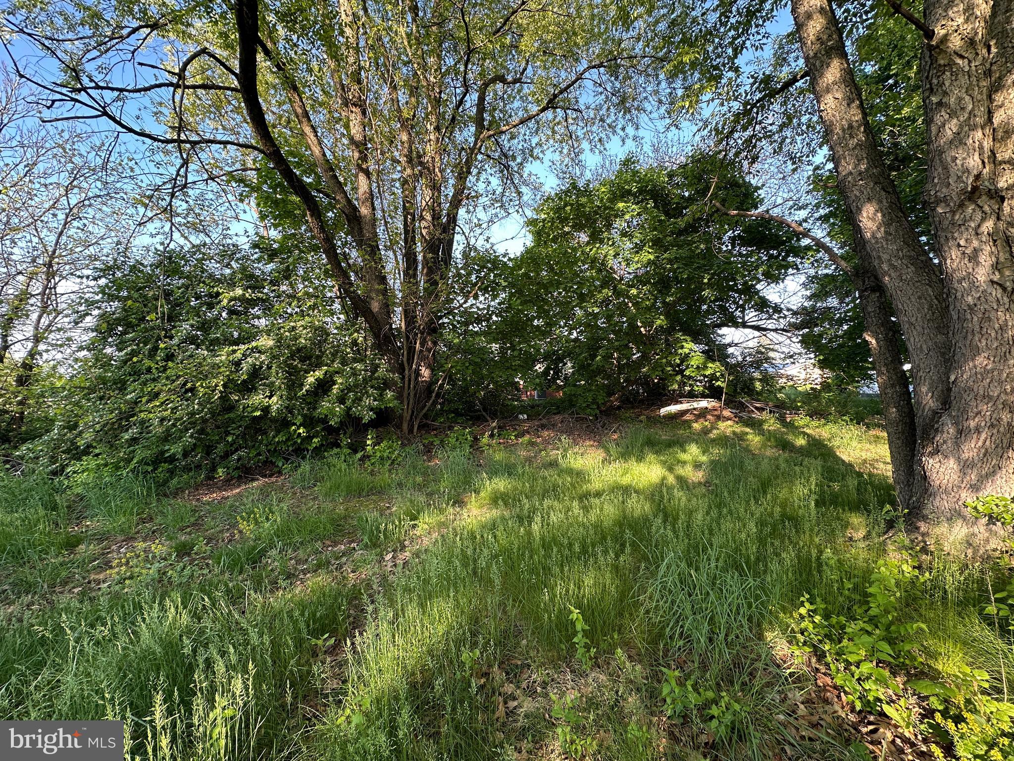 1290 Brechbill Road Chambersburg, PA 17202 - Photo 17 of 17 a view of yard