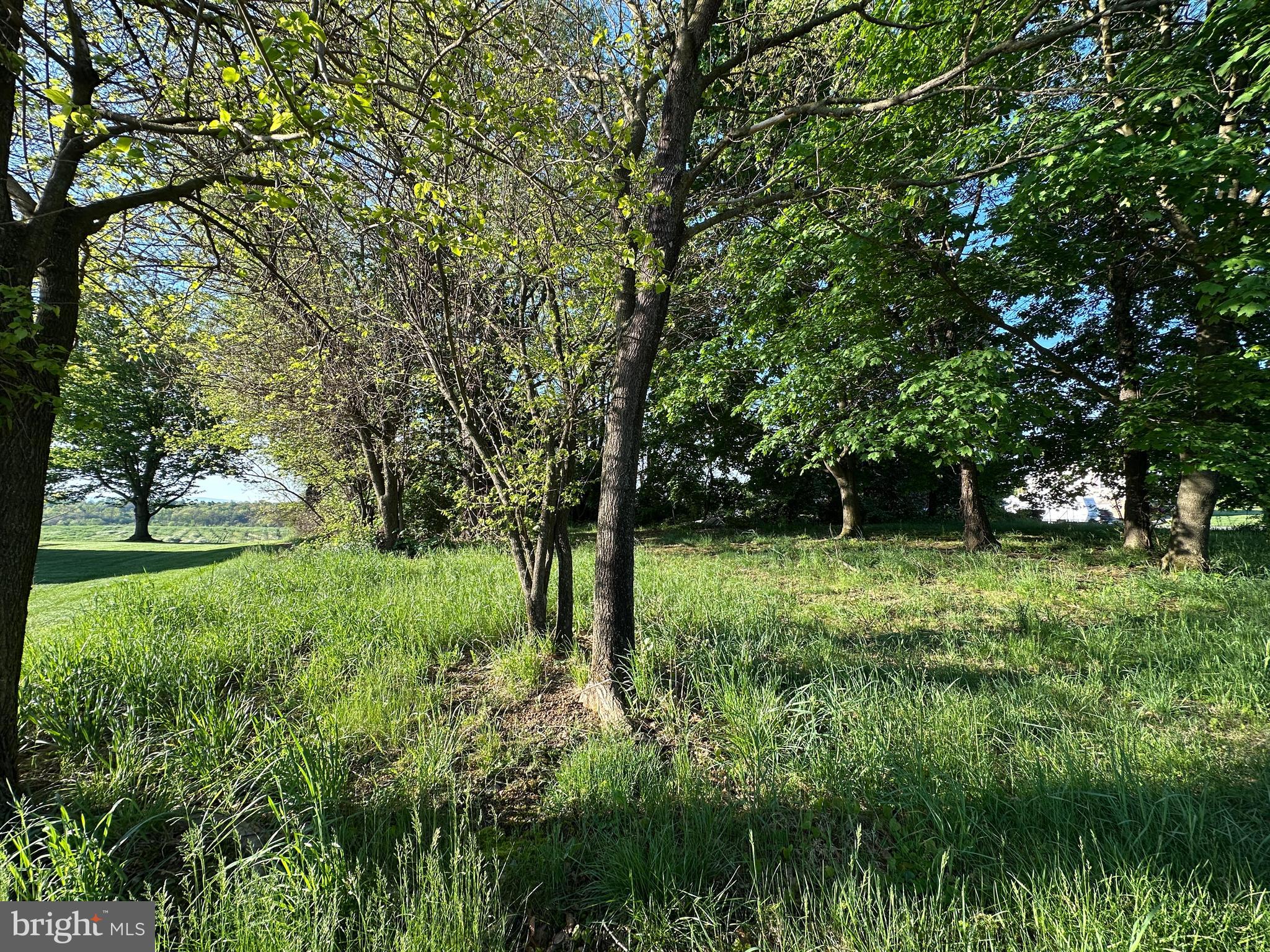 1290 Brechbill Road Chambersburg, PA 17202 - Photo 8 of 17 a view of backyard with large trees