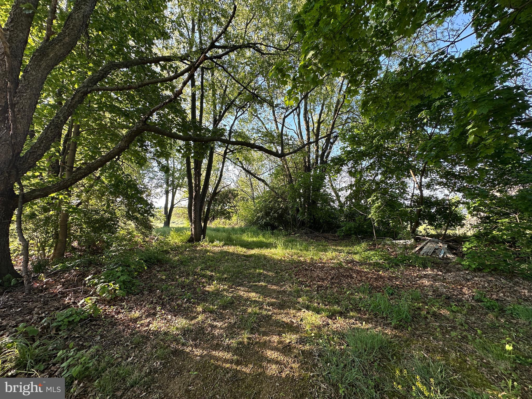 1290 Brechbill Road Chambersburg, PA 17202 - Photo 9 of 17 a view of outdoor space and yard