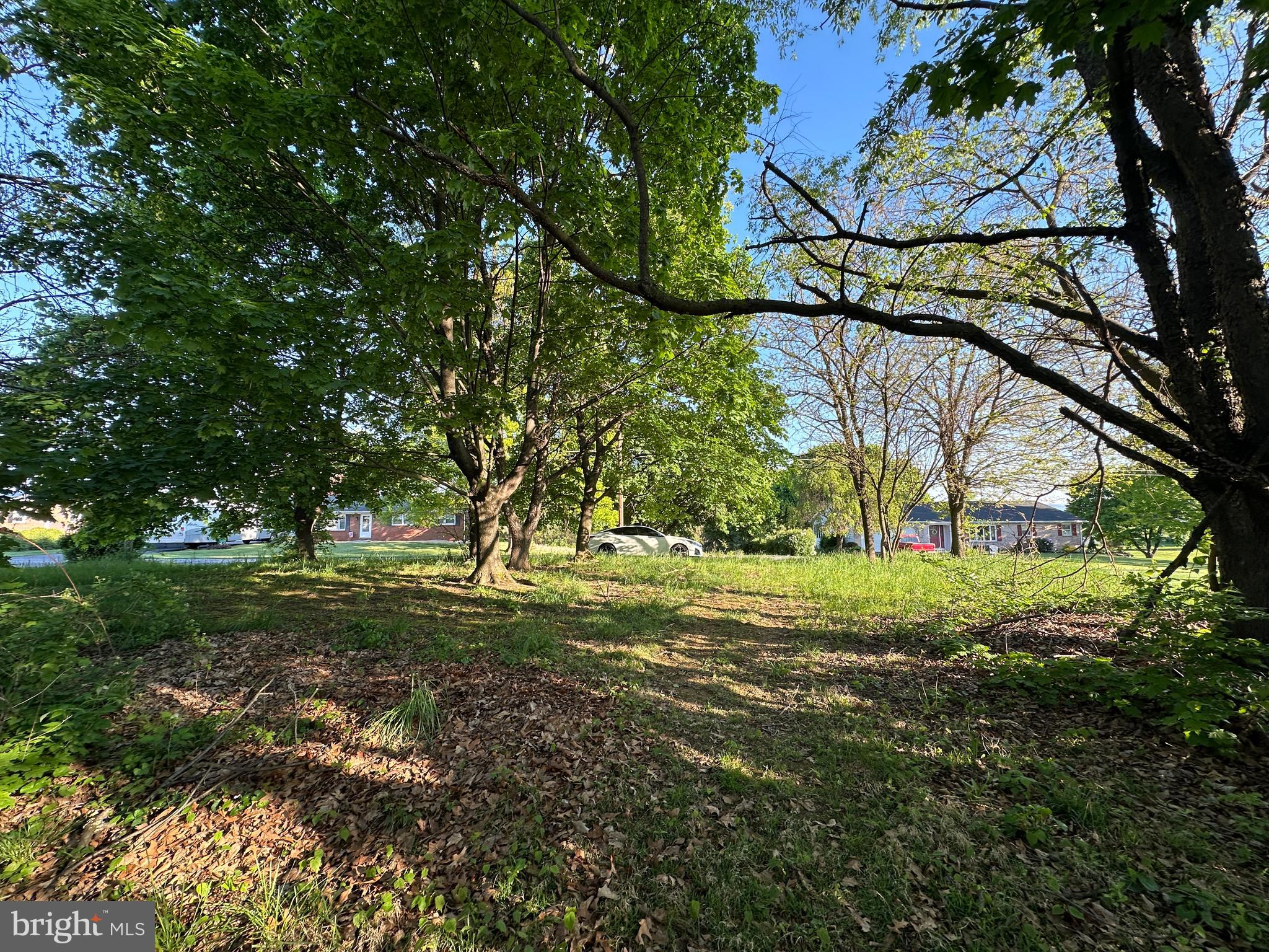 1290 Brechbill Road Chambersburg, PA 17202 - Photo 10 of 17 a view of a yard with a tree