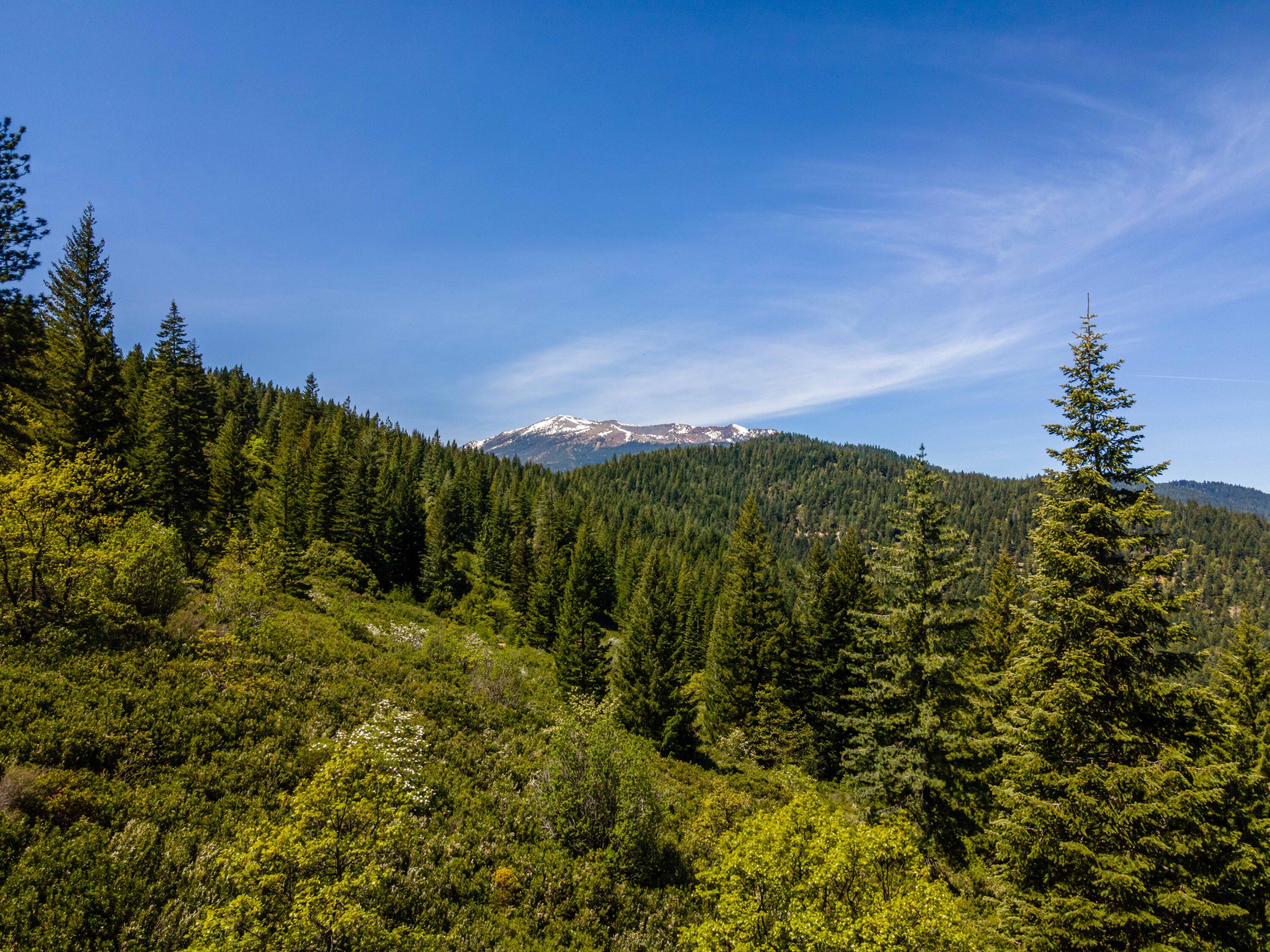 North Shore Road Mount Shasta, CA 96067 - Photo 7 of 21 228 Acres 4