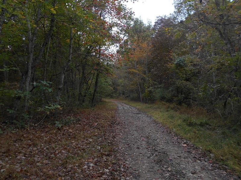 Greasy Ridge Sandy Hook, KY 41171 - Photo 1 of 1 Gallery Image 1