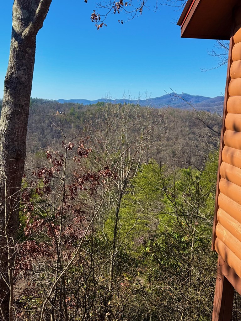47 Steeple Lane Marble, NC 28905 - Photo 11 of 71 Gallery Image 11