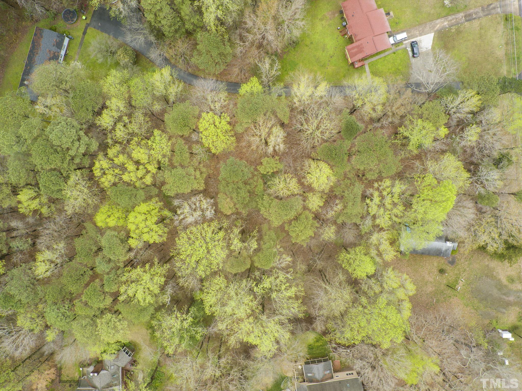 1129 Mt Vernon Church Road Raleigh, NC 27615 - Photo 5 of 11 a view of a yard of the house