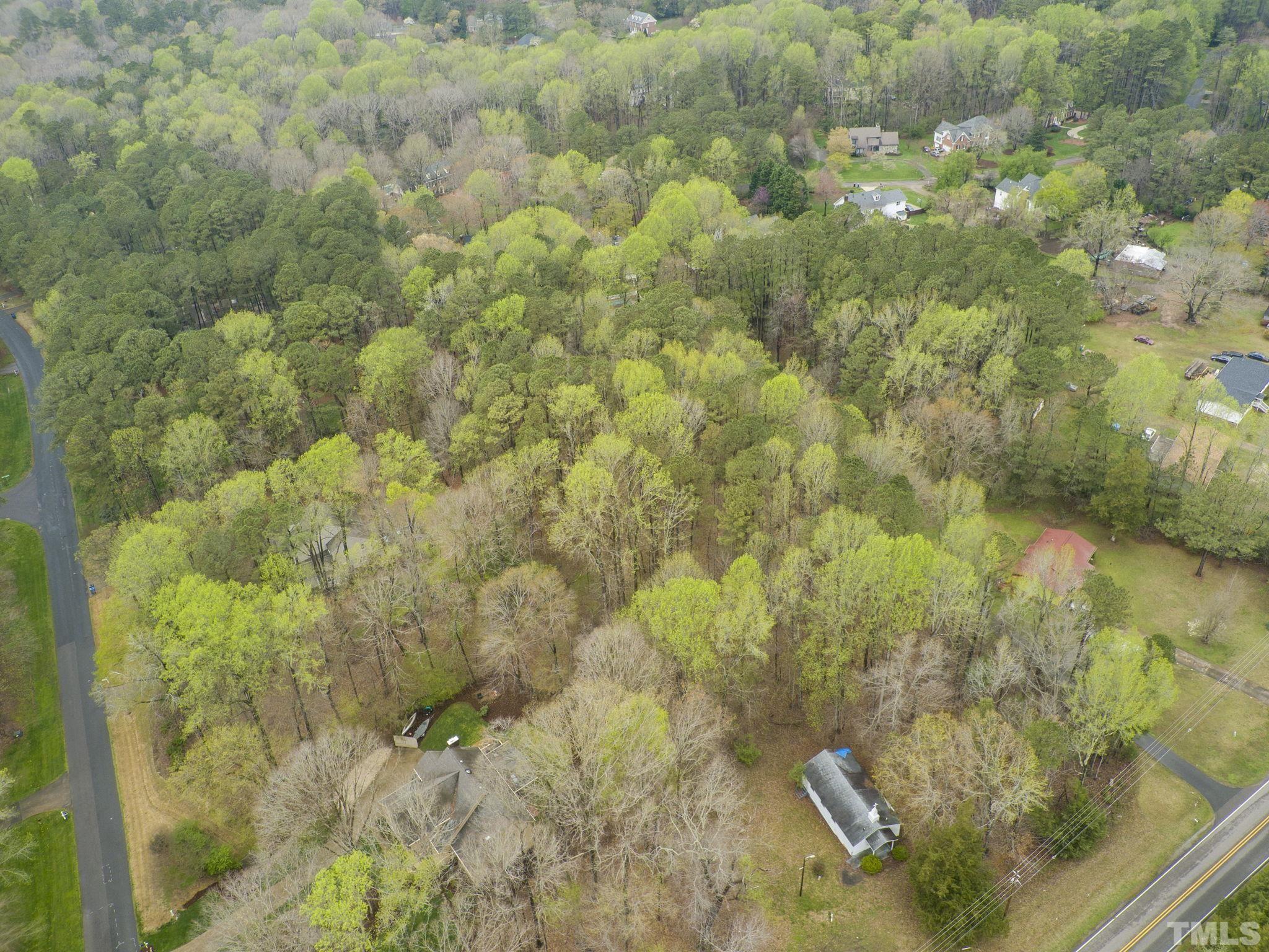 1129 Mt Vernon Church Road Raleigh, NC 27615 - Photo 6 of 11 a view of a bunch of trees