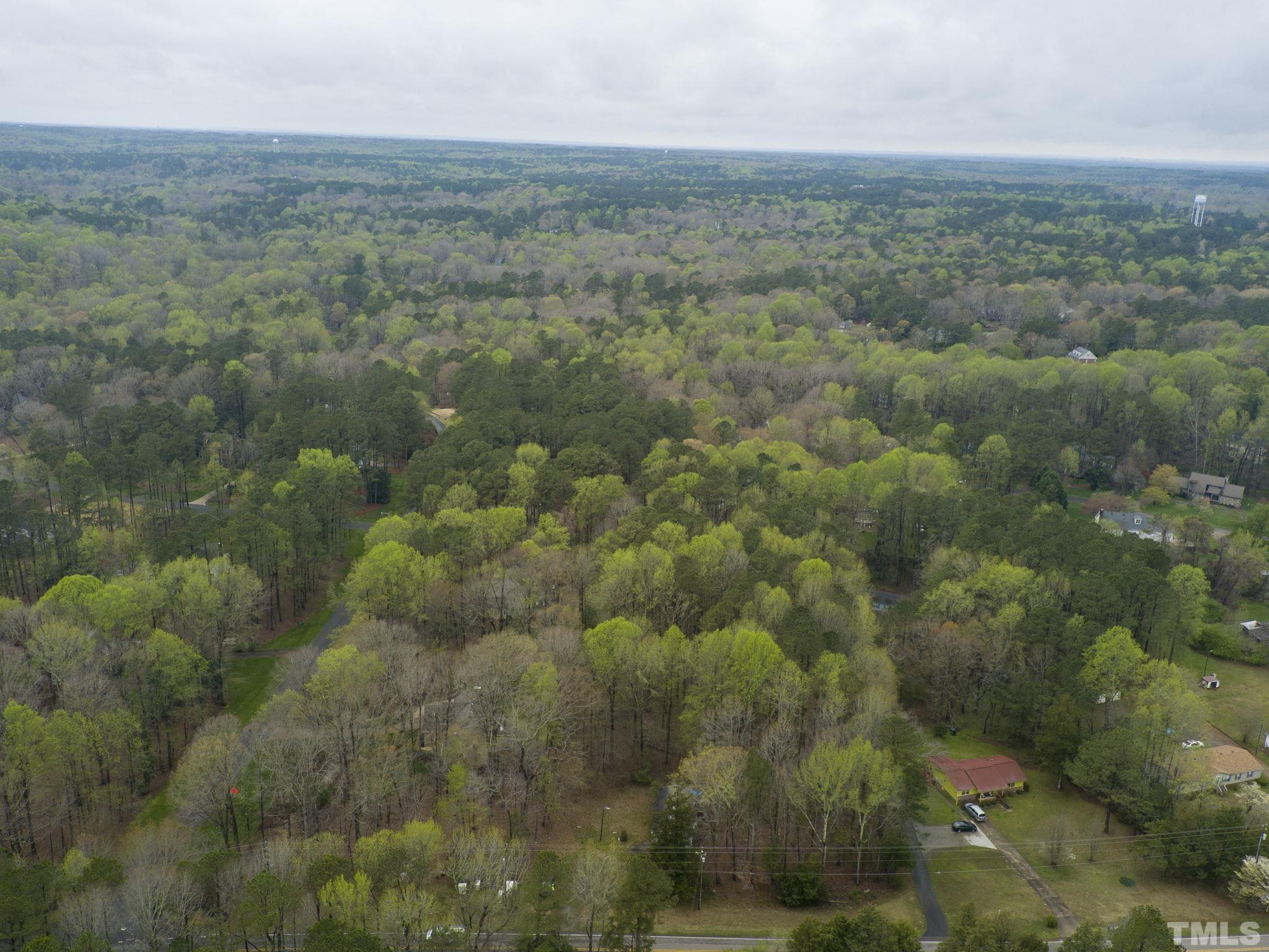 1129 Mt Vernon Church Road Raleigh, NC 27615 - Photo 10 of 11 a view of a field of grass and trees