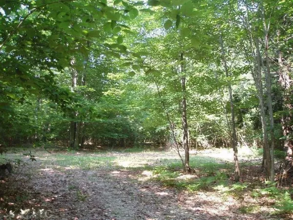 $105,000 | Wildwood Trail, Manistee, MI 49660