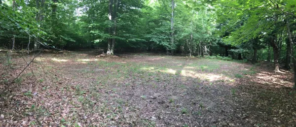 $105,000 | Wildwood Trail, Manistee, MI 49660