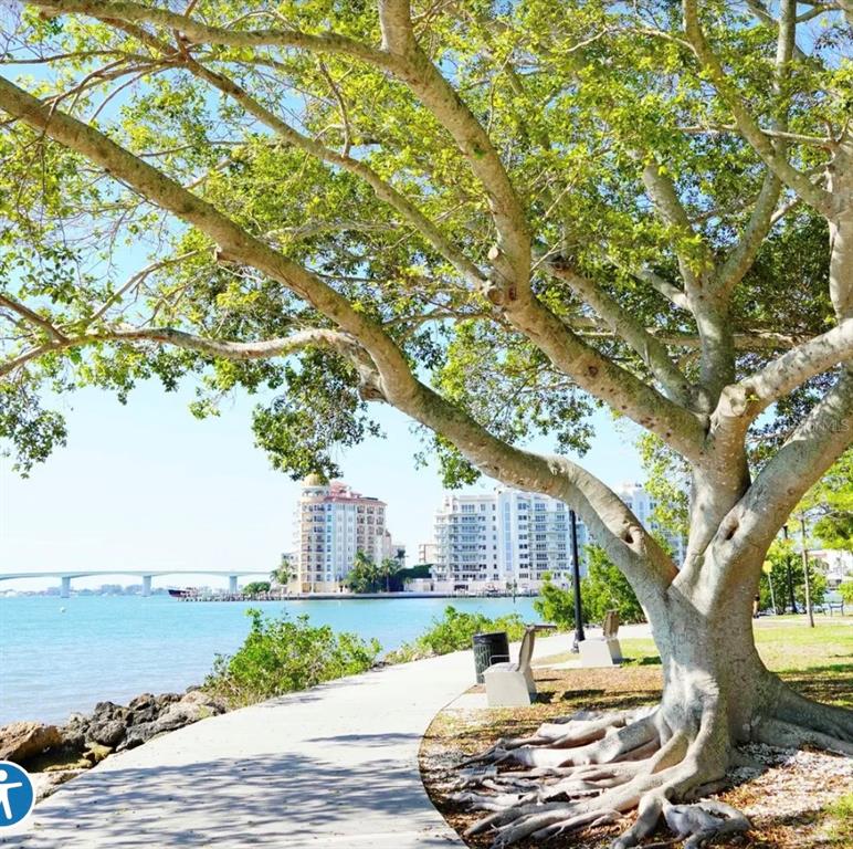 1659 2nd Street, Unit 515 Sarasota, FL 34236 - Photo 16 of 21 a patio with table and chairs and a large tree