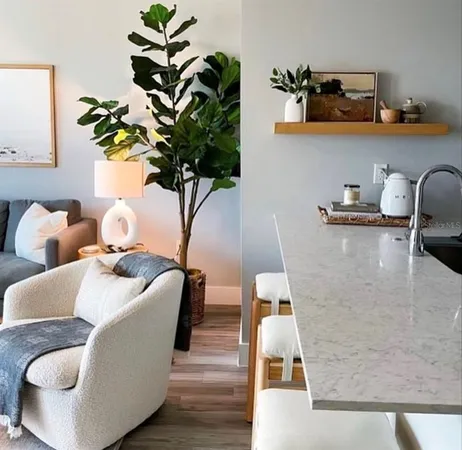 a living room with furniture and a potted plant