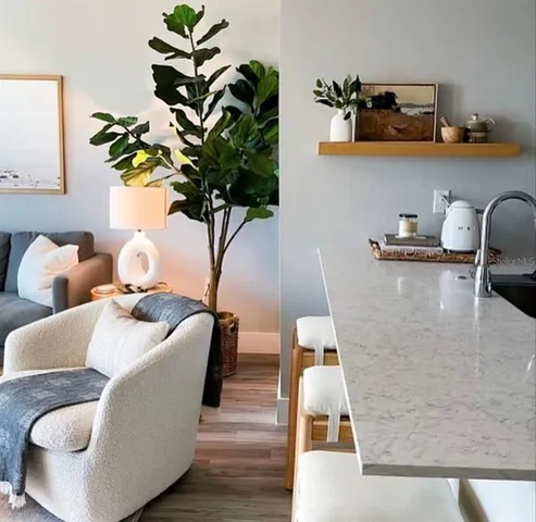 a living room with furniture and a potted plant