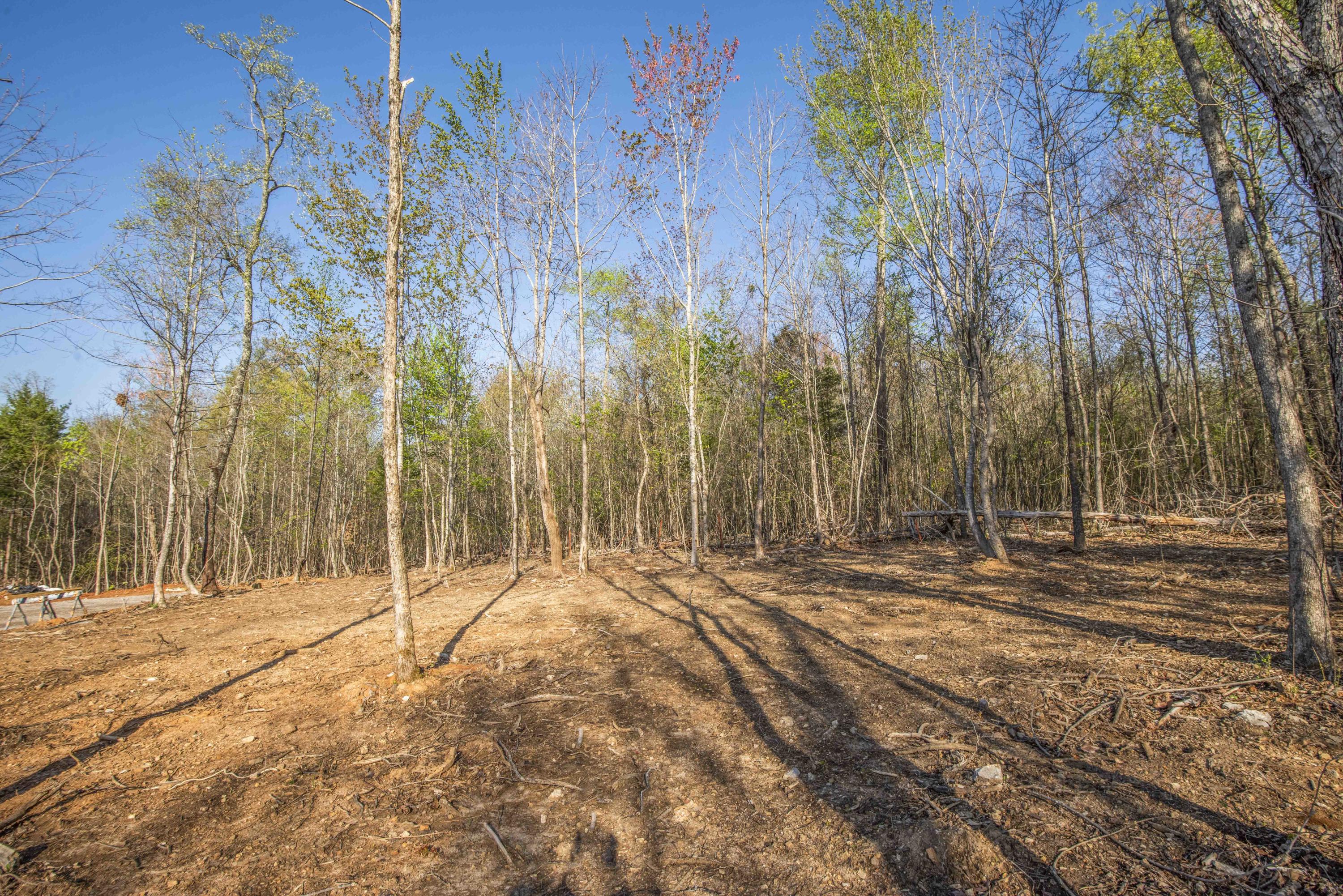 4650 Hall Road Loudon, TN 37774 - Photo 36 of 38 yard 1_1