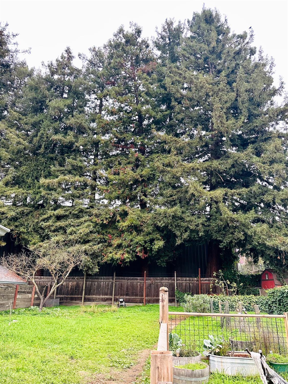 108 Pierson Street Santa Rosa, CA 95401 - Photo 27 of 33