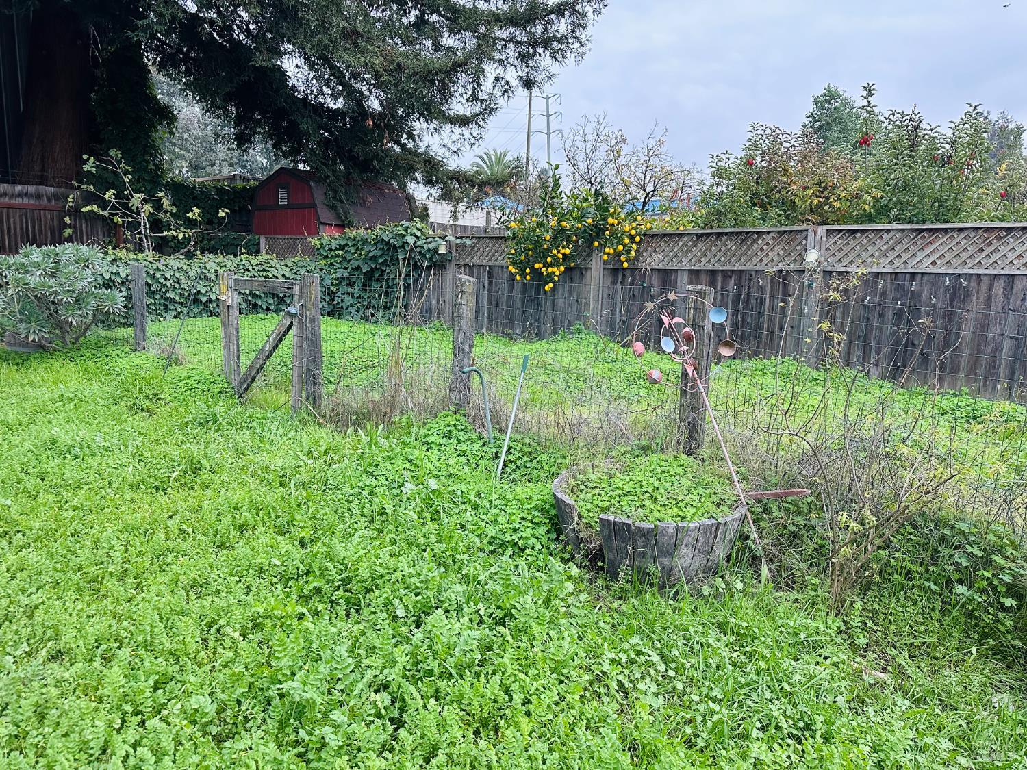 108 Pierson Street Santa Rosa, CA 95401 - Photo 28 of 33