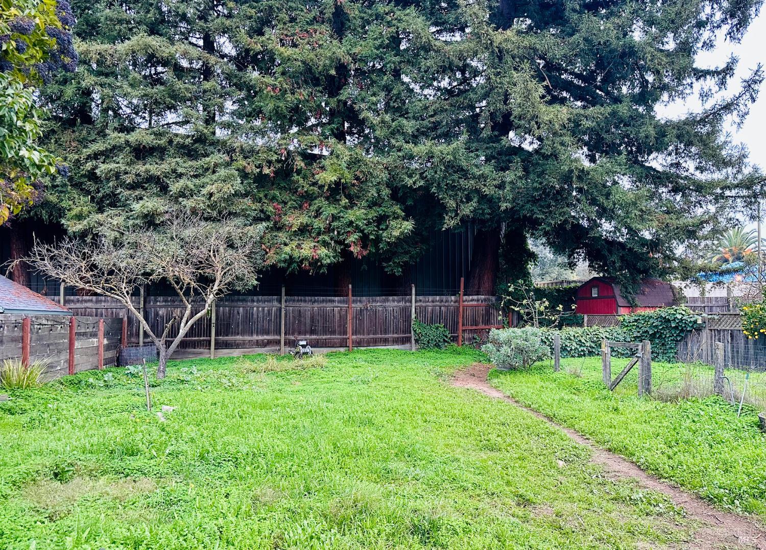 108 Pierson Street Santa Rosa, CA 95401 - Photo 29 of 33 a view of a backyard with a garden