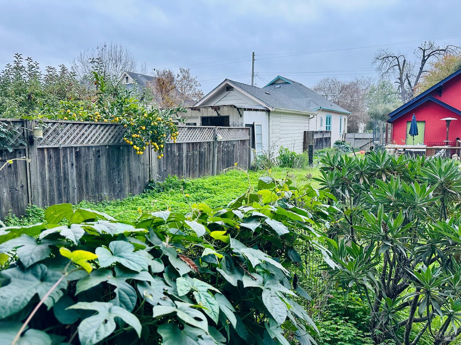 108 Pierson Street Santa Rosa, CA 95401 - Photo 32 of 33 a front view of a house with a yard and many windows