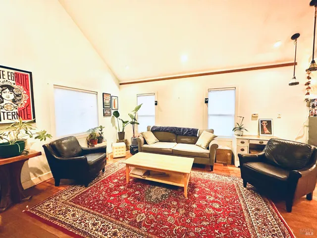 a living room with furniture and a rug