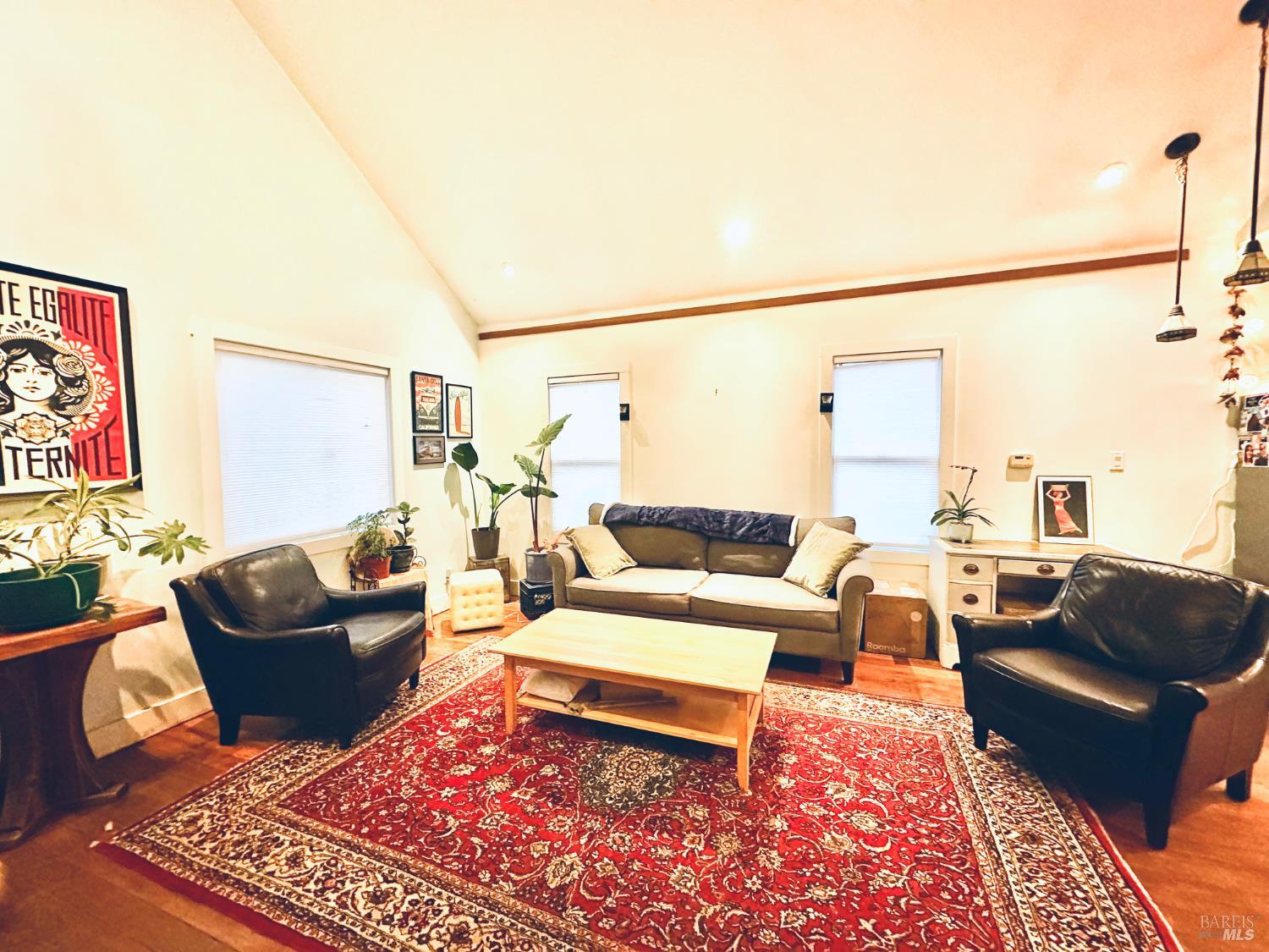 108 Pierson Street Santa Rosa, CA 95401 - Photo 8 of 33 a living room with furniture and a rug