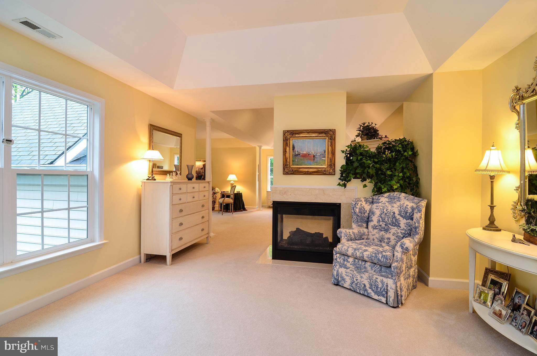 7824 Brink Road Gaithersburg, MD 20882 - Photo 16 of 30 Master Bedroom Entrance Area.
