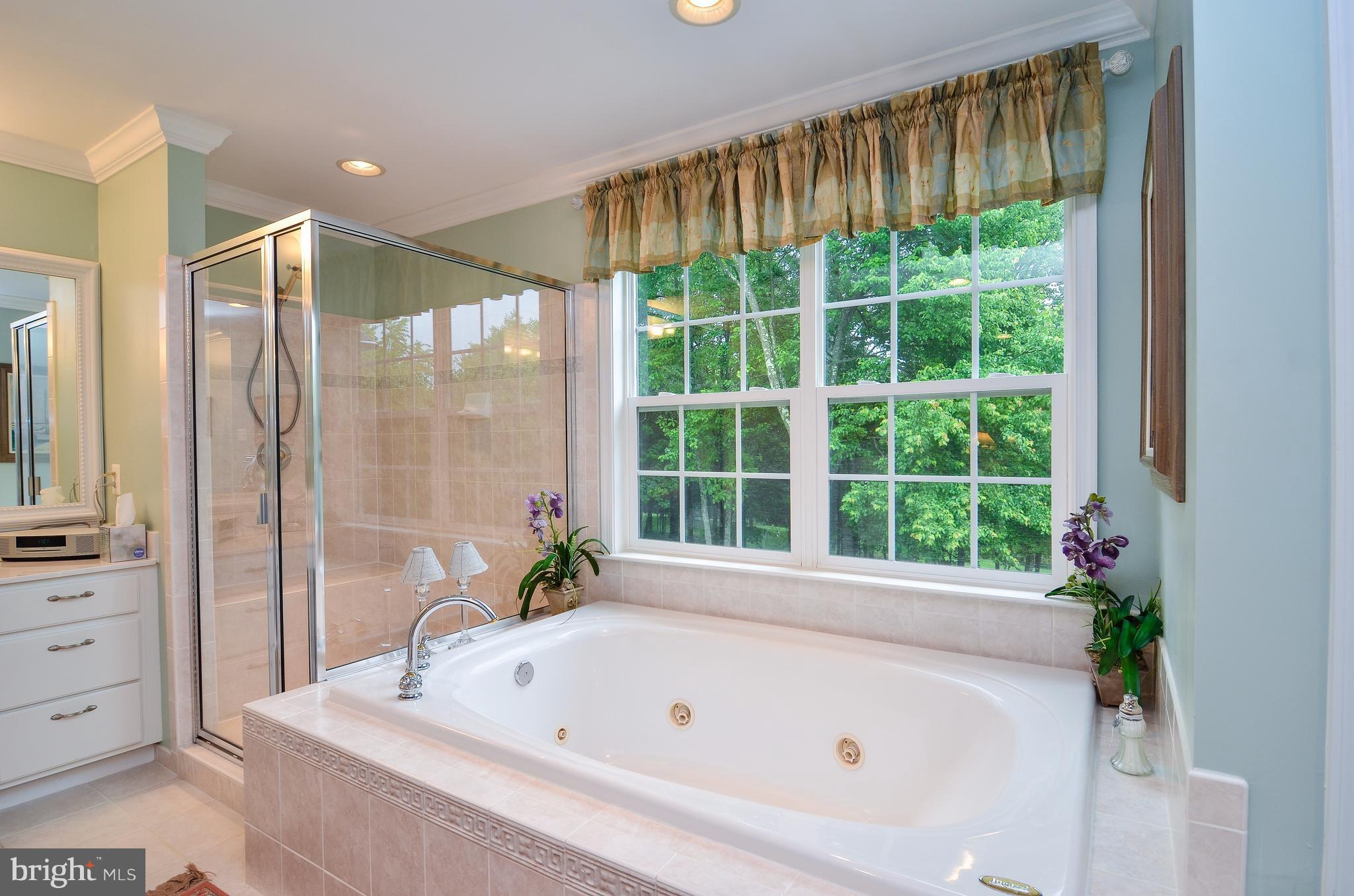 7824 Brink Road Gaithersburg, MD 20882 - Photo 21 of 30 Luxurious Master Bath w/ Jacuzzi Tub & Shower.