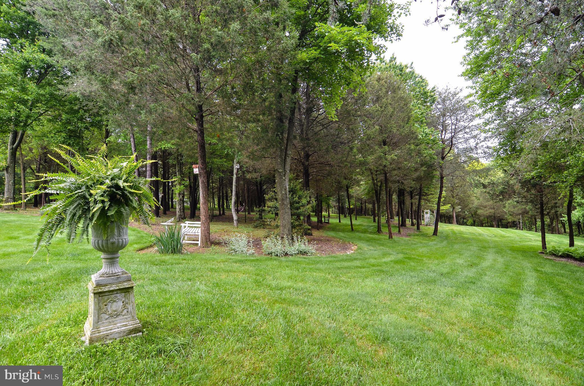 7824 Brink Road Gaithersburg, MD 20882 - Photo 29 of 30 Spectacular Grounds.