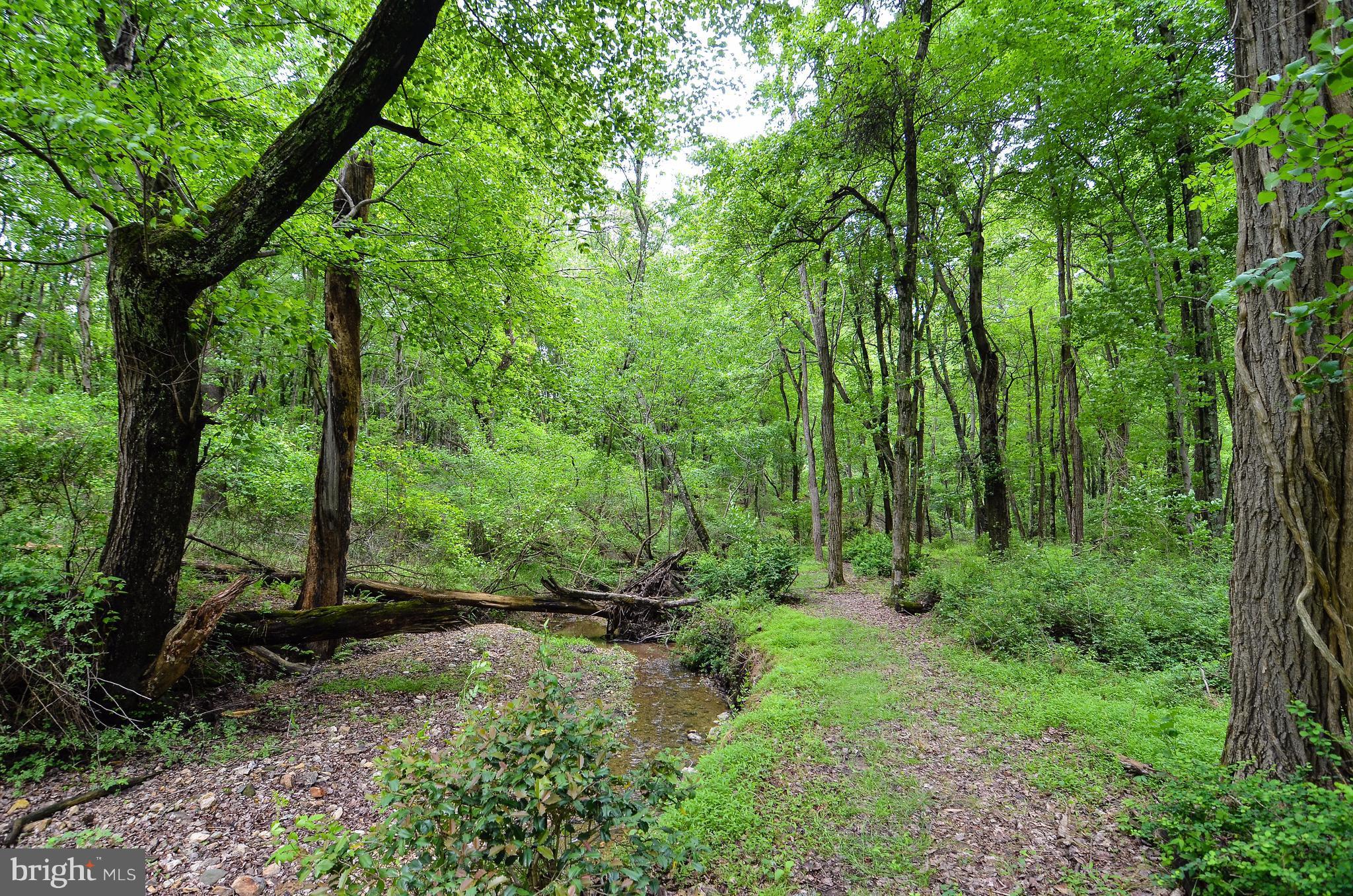 7824 Brink Road Gaithersburg, MD 20882 - Photo 30 of 30 Wooded Paths & Meandering Stream.