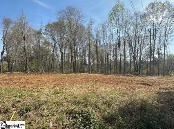 $745,000 | 0 Circle Road, Greer, SC 29651