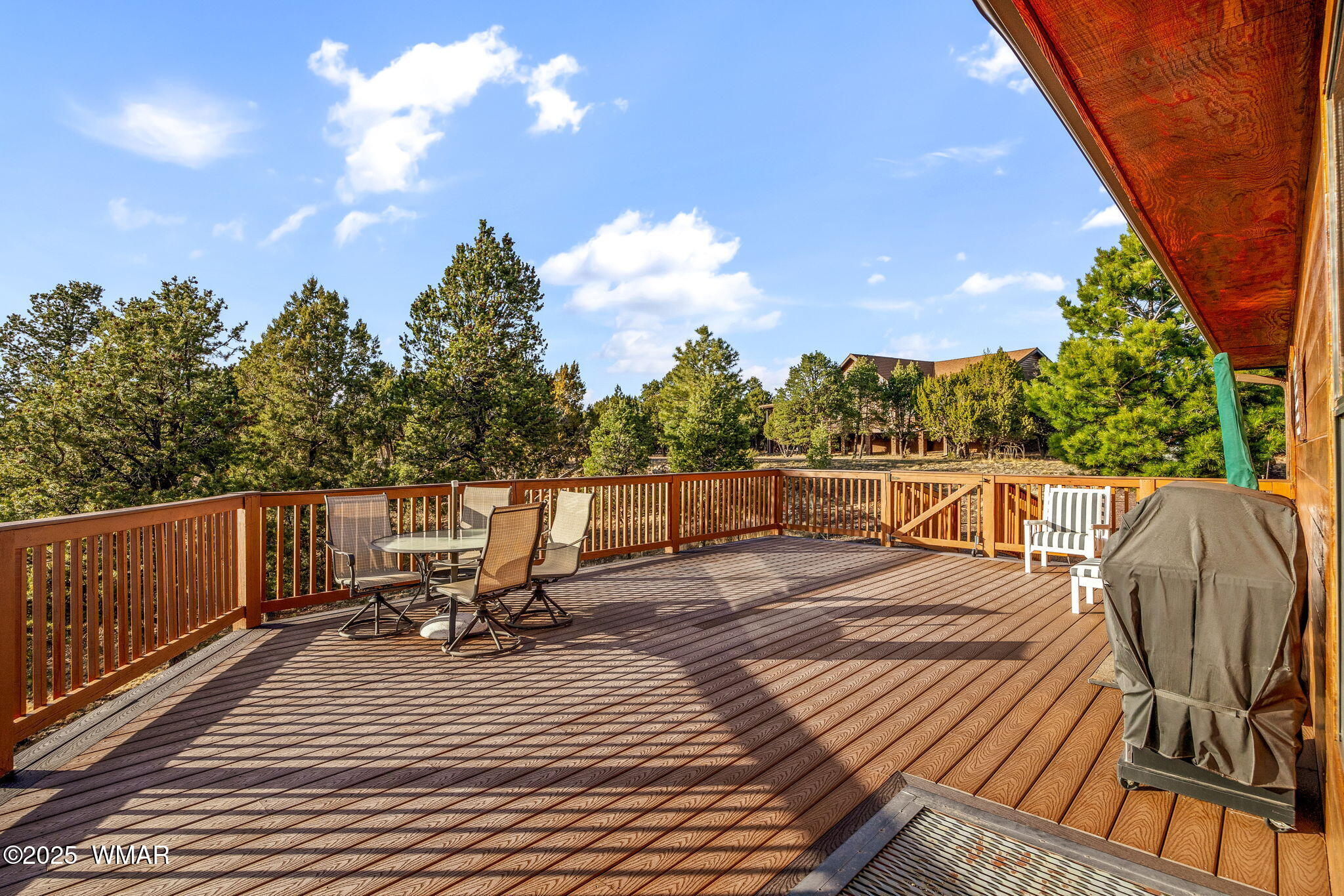 2810 Sky Hawk Drive Overgaard, AZ 85933 - Photo 12 of 47 2810SkyHawkDr-Heber-AZ-34