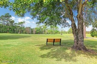 1111 Mill Run Road Sneads Ferry, NC 28460 - Photo 29 of 30 Northshore-05 Small