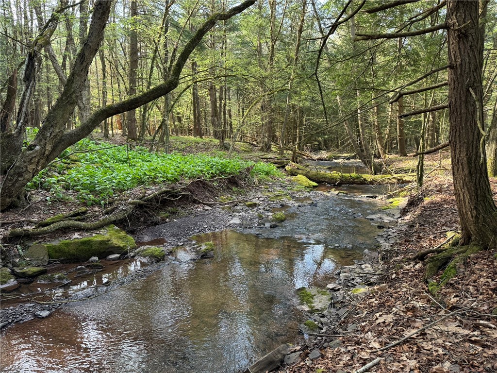 Lot 2 Oregon Road Gilbertsville, NY 13776 - Photo 2 of 7