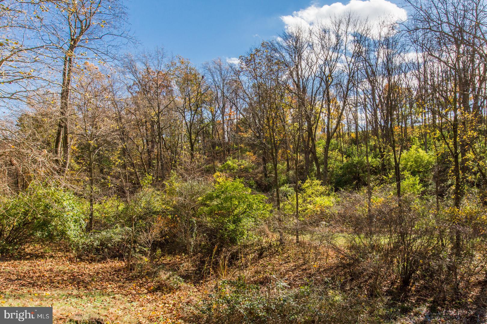 14 Dogwood Valley Lititz, PA 17543 - Photo 12 of 50 Gallery Image 12