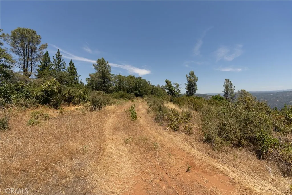 0 Doe Mill Road Magalia, CA 95954 - Photo 21 of 48 Gallery Image 21