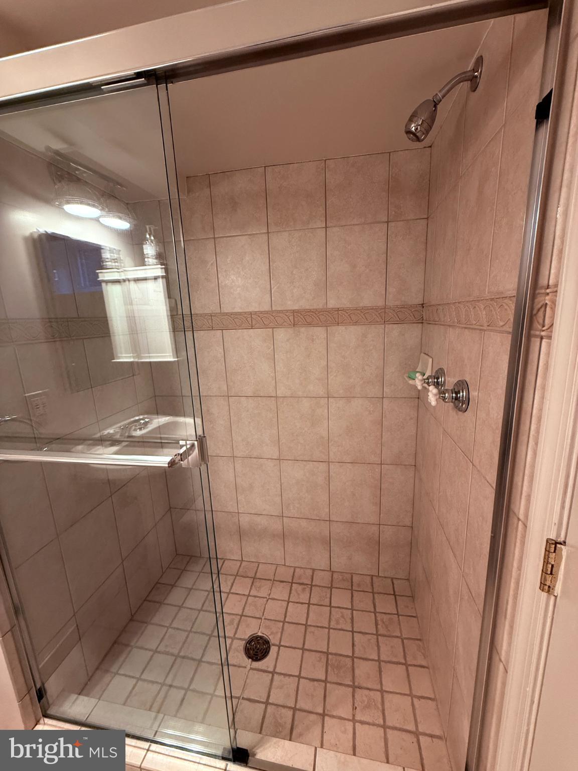3202 Rolling Road Chevy Chase, MD 20815 - Photo 36 of 43 a bathroom with a shower and toilet