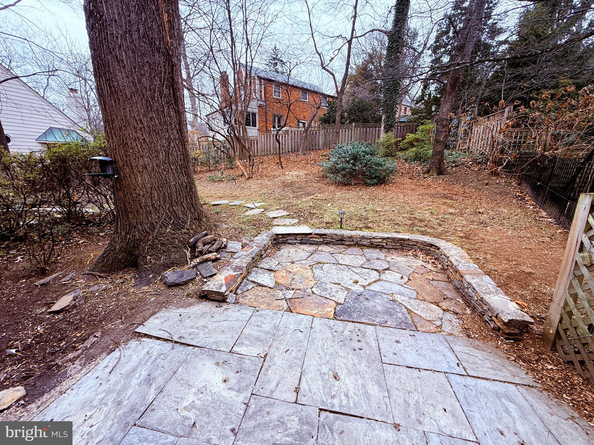 3202 Rolling Road Chevy Chase, MD 20815 - Photo 6 of 43 a view of a yard with plants and trees
