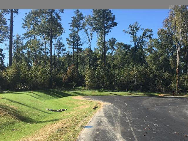 Lot 16 Drayton Way Harlem, GA 30814 - Photo 2 of 8 Gallery Image 2