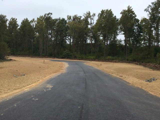 Lot 16 Drayton Way Harlem, GA 30814 - Photo 3 of 8 Gallery Image 3